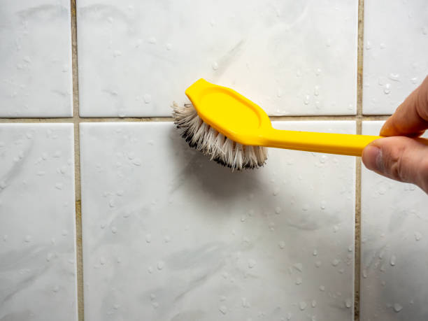 Best Certified Mold Removal  in Kingsville, MD