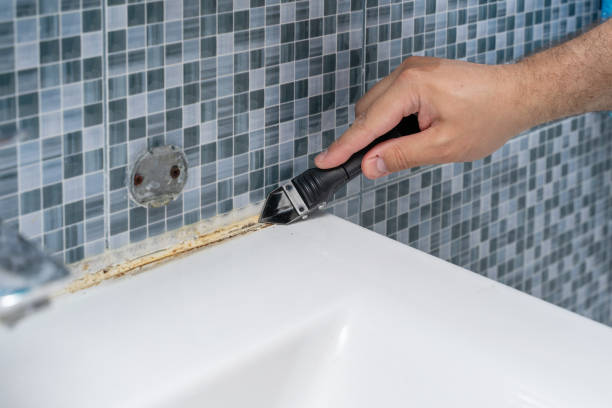 Best Office Mold Removal Services  in Kingsville, MD